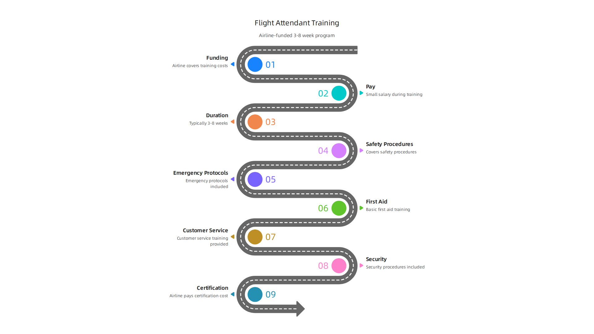 This infographic outlines the typical flight attendant training process, covering duration, core curriculum, and the crucial point that major airlines cover training costs.
